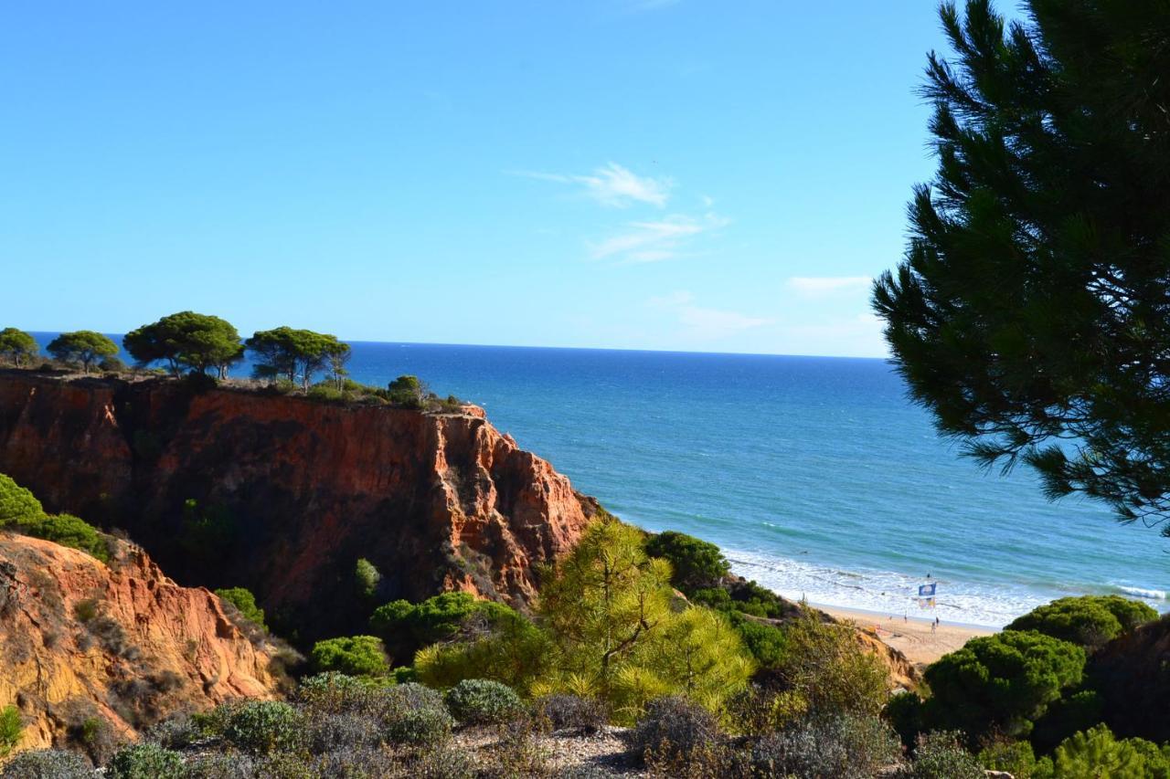 T0 Junto A Praia De Vale Centeanes / Carvoeiro Lagoa  Zewnętrze zdjęcie